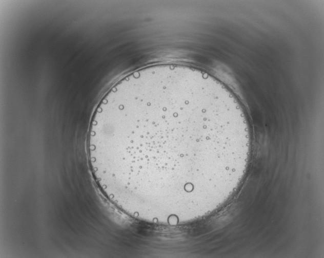 X0000082721338200702161831