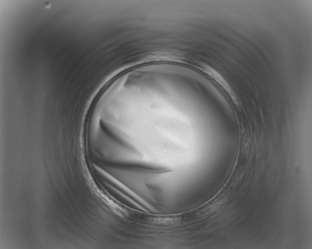 X0000082721339200702161831