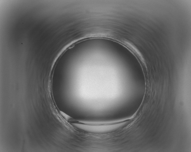 X0000082721340200702161831