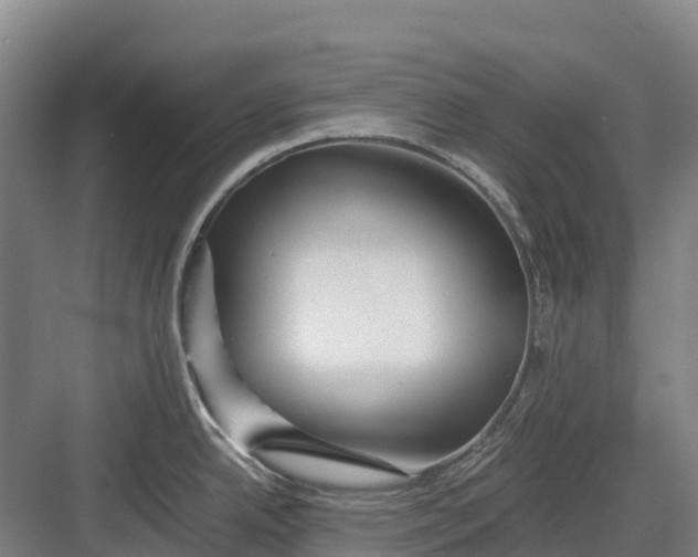 X0000082721342200702161831