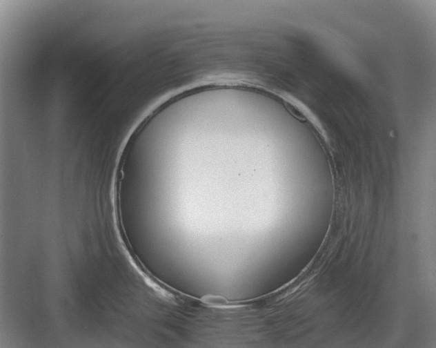 X0000082721343200702161831