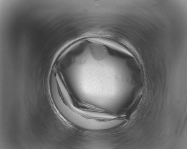 X0000082721344200702161831