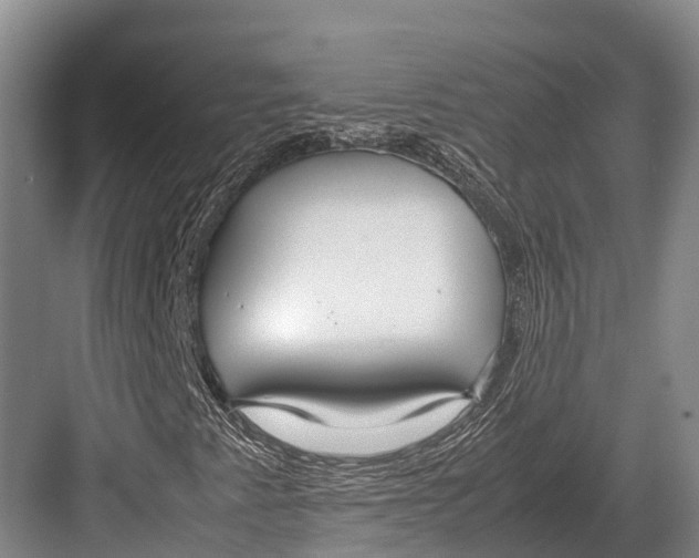 X0000082721345200702161831