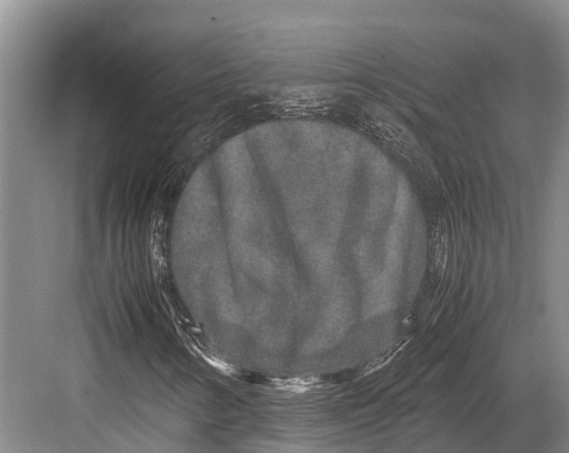 X0000082721346200702161831