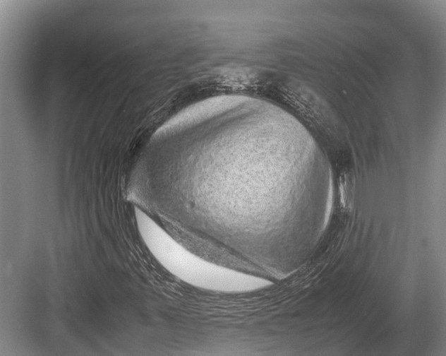 X0000082721347200702161831