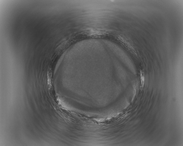 X0000082721348200702161831