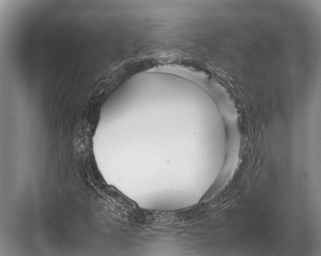 X0000082721349200702161831