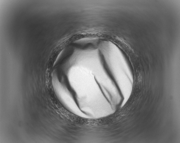 X0000082721350200702161831