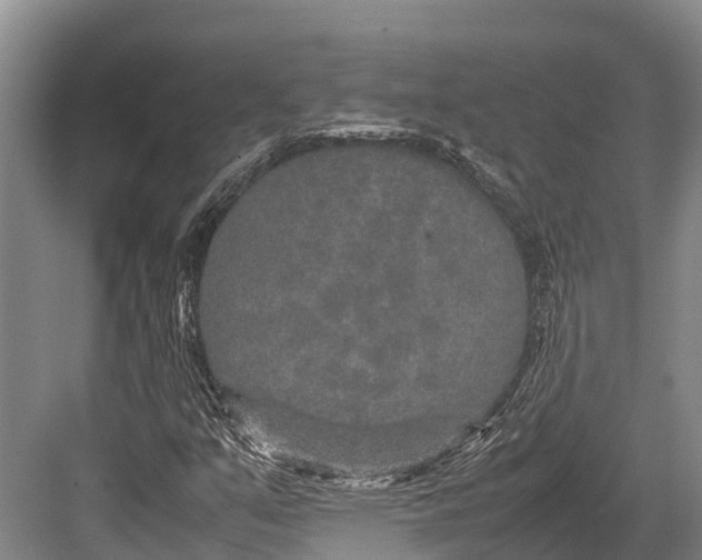 X0000082721351200702161831