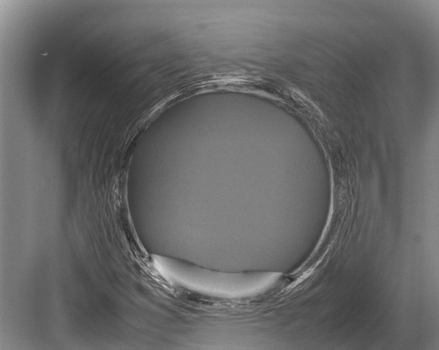 X0000082721353200702161831