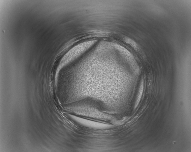 X0000082721354200702161831