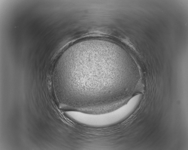 X0000082721355200702161830