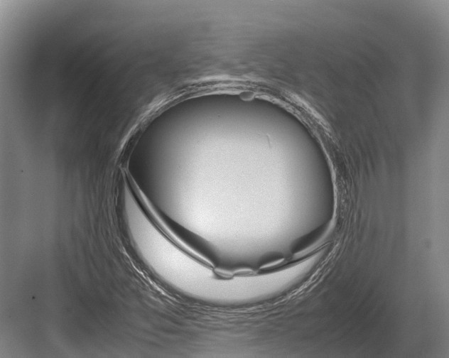 X0000082721357200702161830