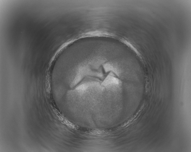 X0000082721358200702161830