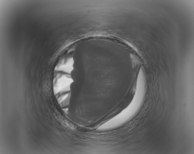 X0000082721359200702161830