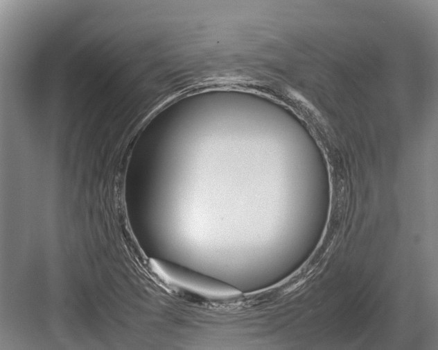 X0000082721361200702161830