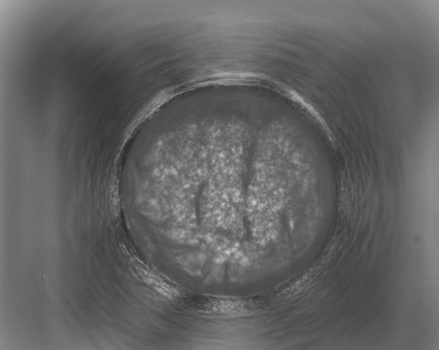 X0000082721362200702161830