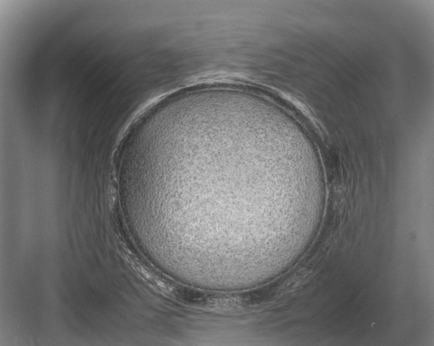 X0000082721363200702161830