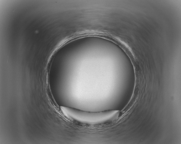 X0000082721365200702161830