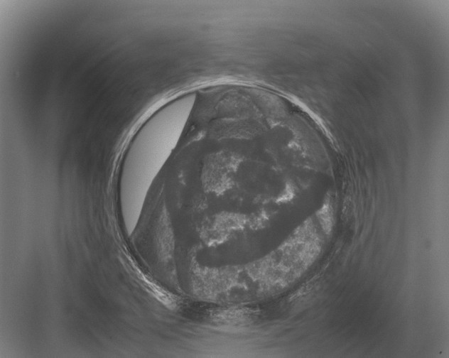 X0000082721367200702161830