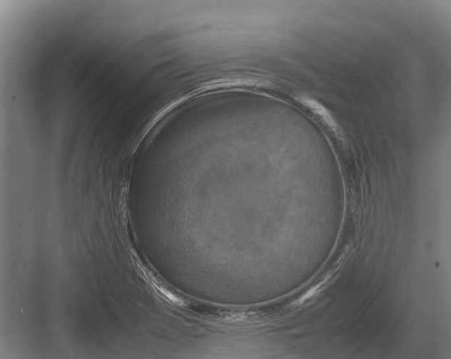 X0000082721369200702161830