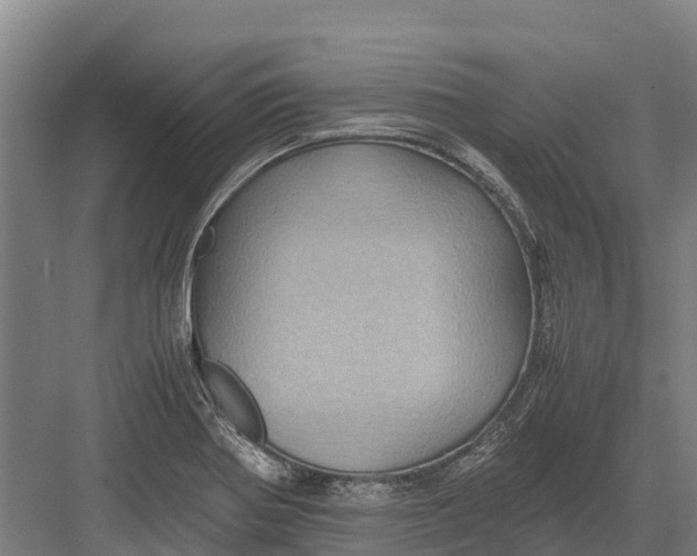 X0000082721370200702161830