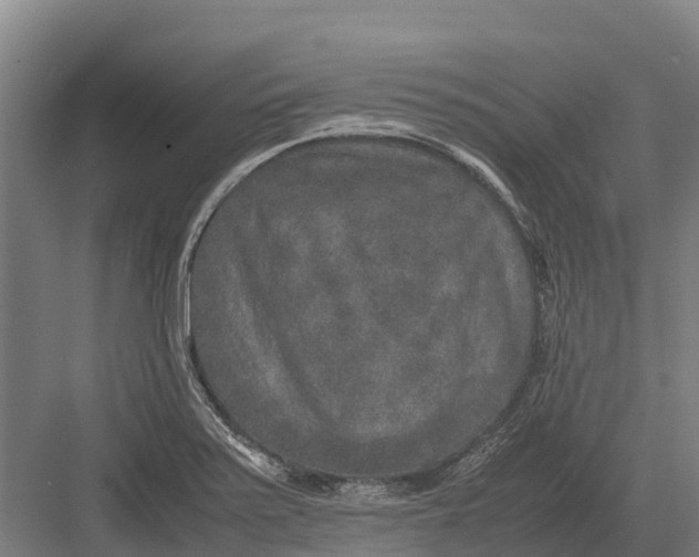 X0000082721371200702161830