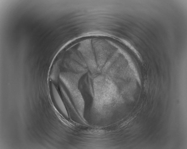 X0000082721372200702161830