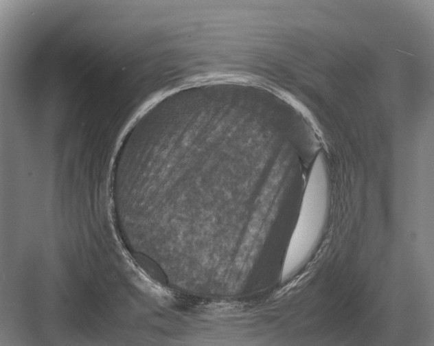 X0000082721373200702161830