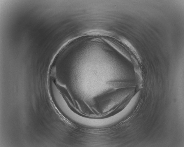 X0000082721376200702161830