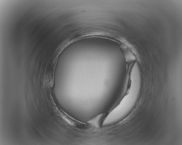 X0000082721377200702161830