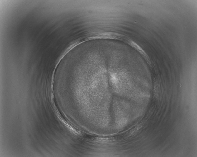 X0000082721378200702161830