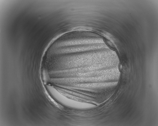 X0000082721379200702161830