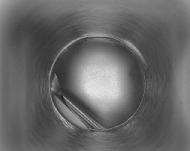 X0000082721380200702161830