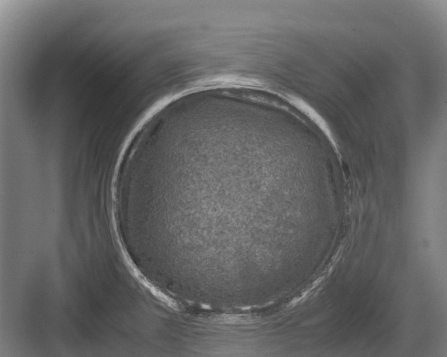 X0000082721381200702161830