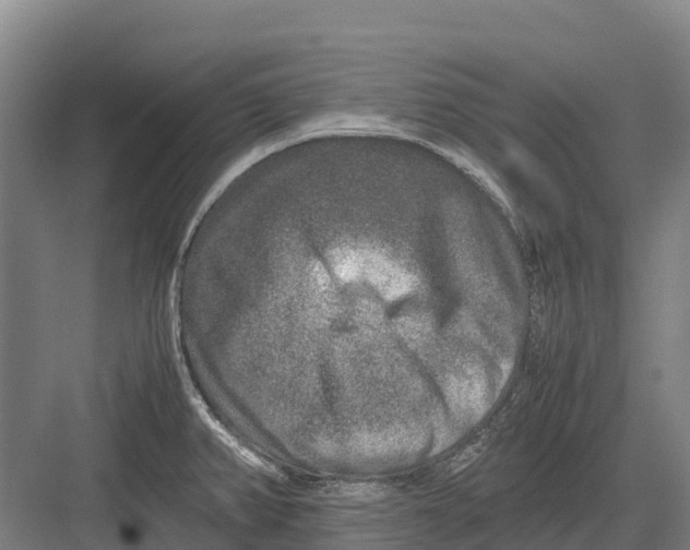 X0000082721382200702161830