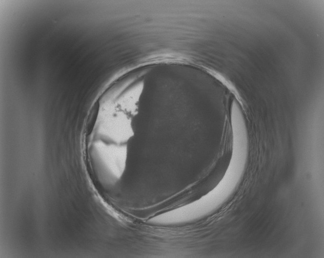 X0000082721383200702161830