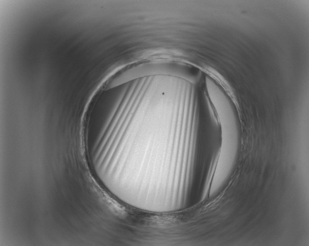 X0000082721384200702161830