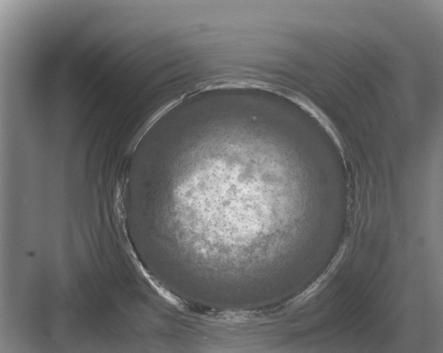 X0000082721385200702161830