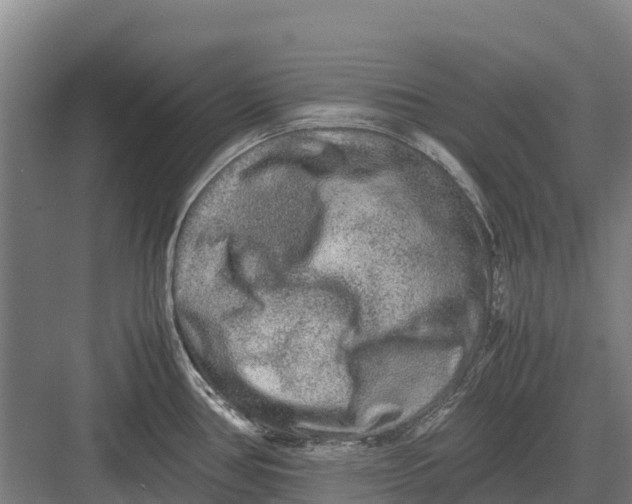 X0000082721386200702161830