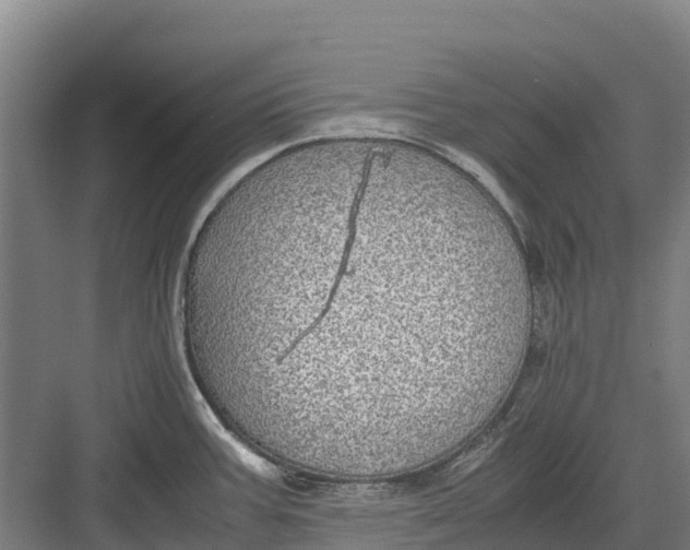 X0000082721387200702161830