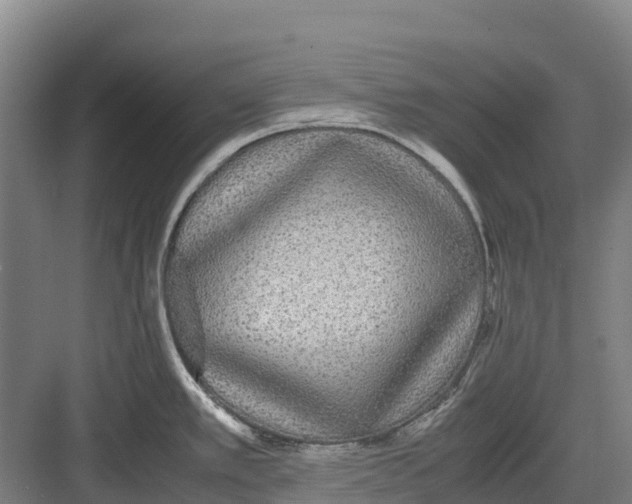 X0000082721389200702161830