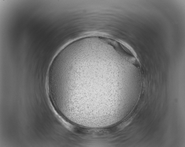 X0000082721391200702161830