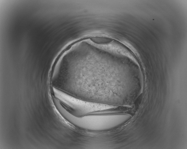 X0000082721392200702161830