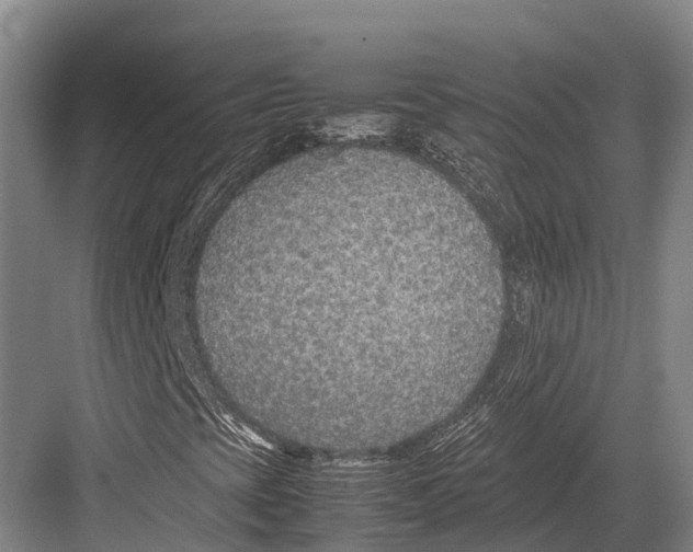 X0000082721393200702161829