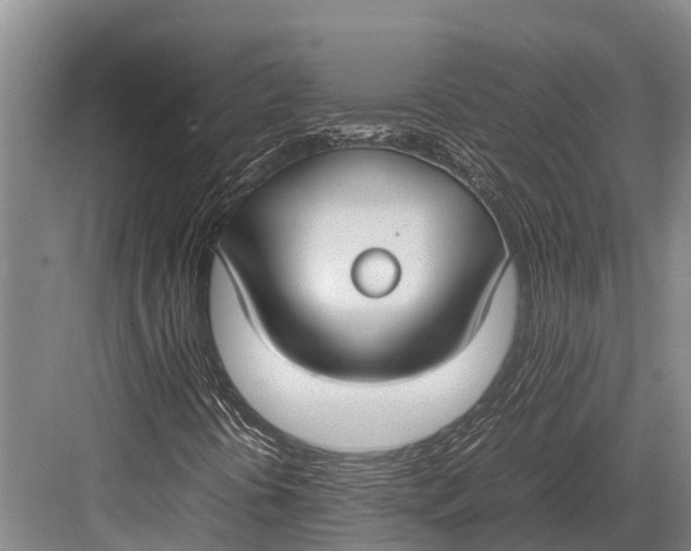 X0000082721394200702161829