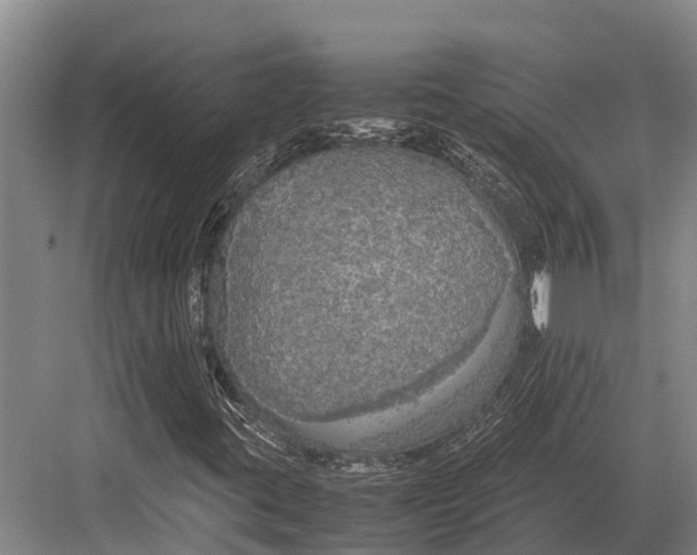 X0000082721395200702161829