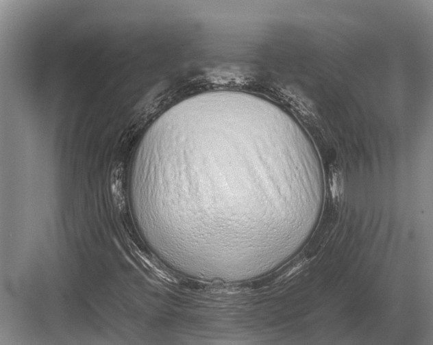 X0000082721396200702161829