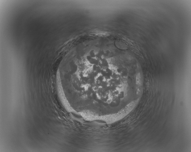 X0000082721397200702161829