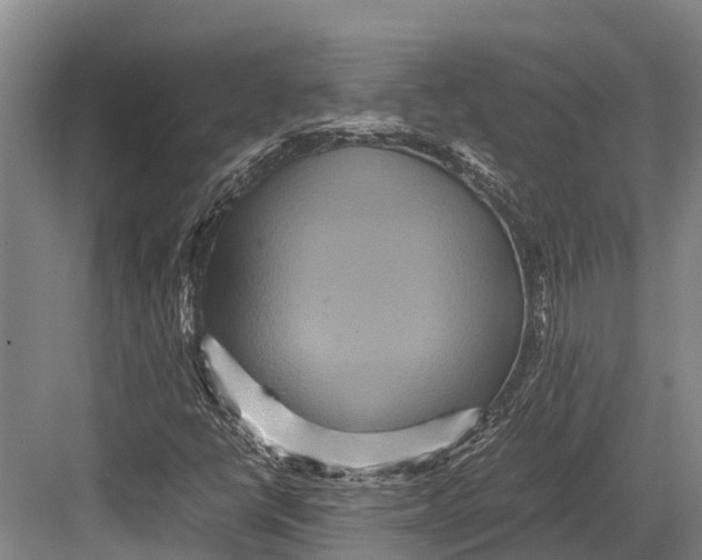 X0000082721398200702161829